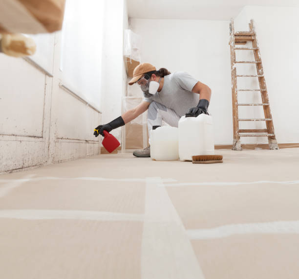 Best Residential Mold Inspection & Testing  in Lewistown, MT